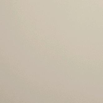 用户9199151003