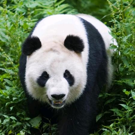 朝芳雪芸快乐一家