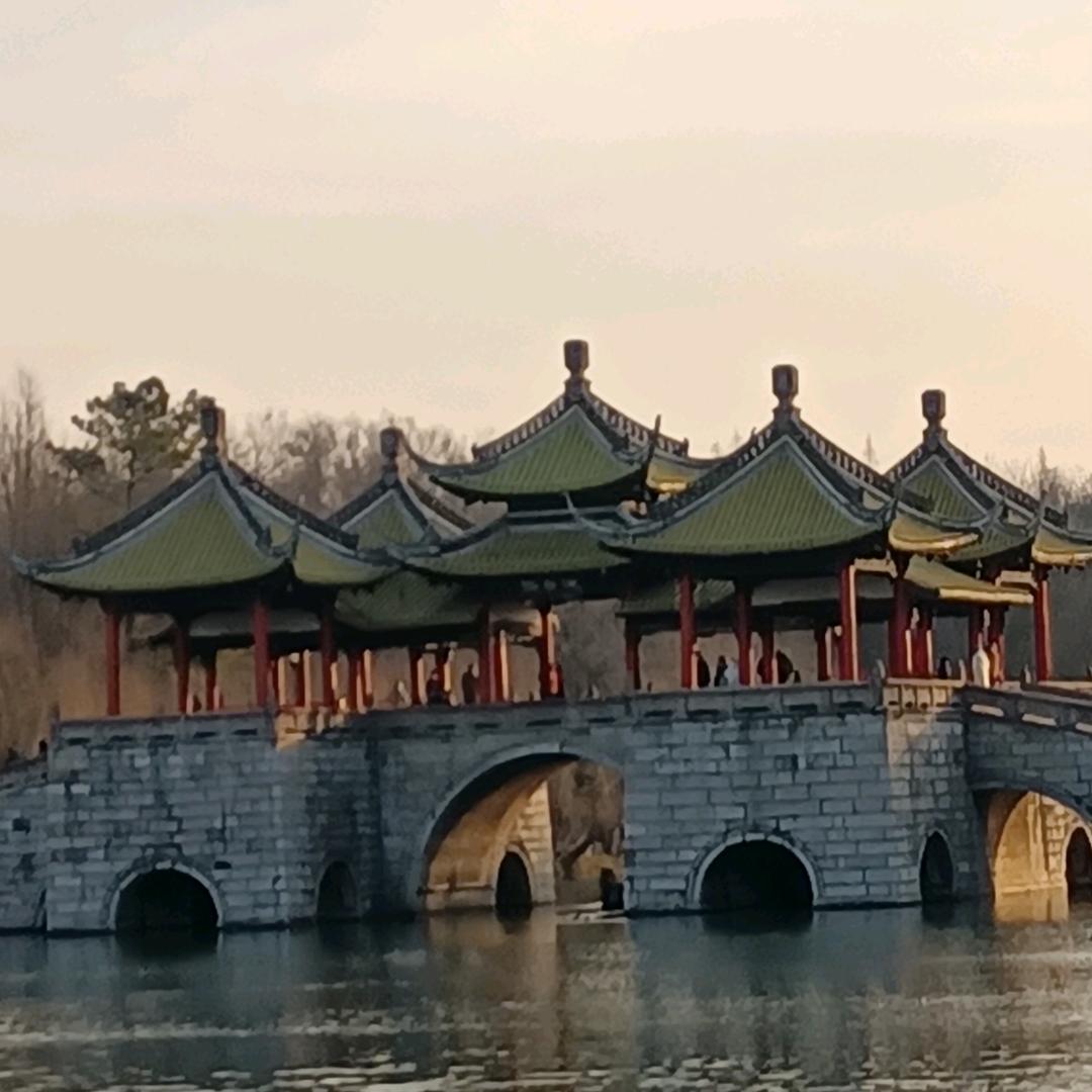 天堂鸟