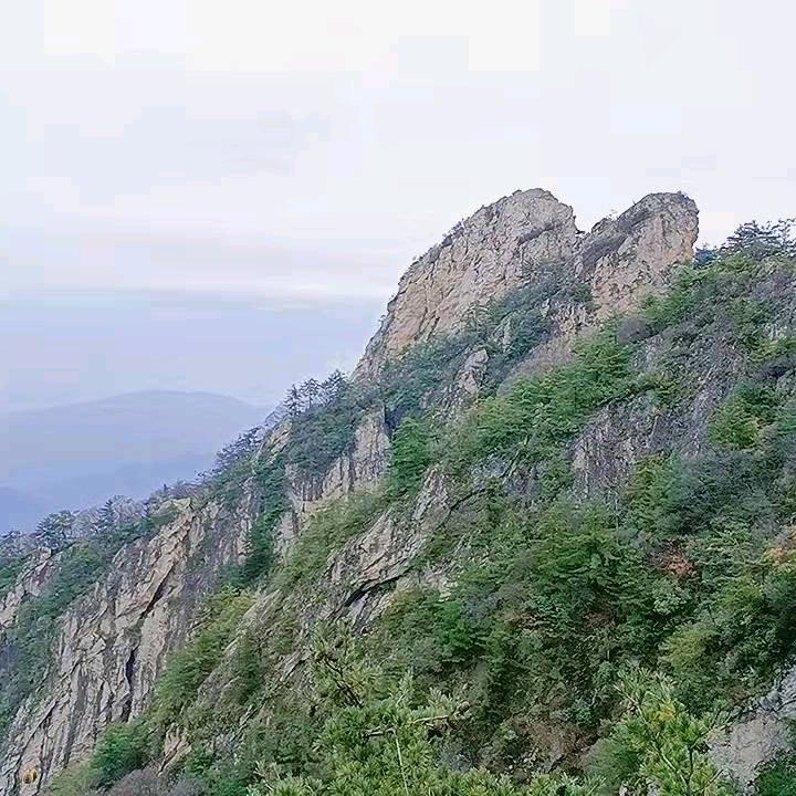 世界杯都不积极了