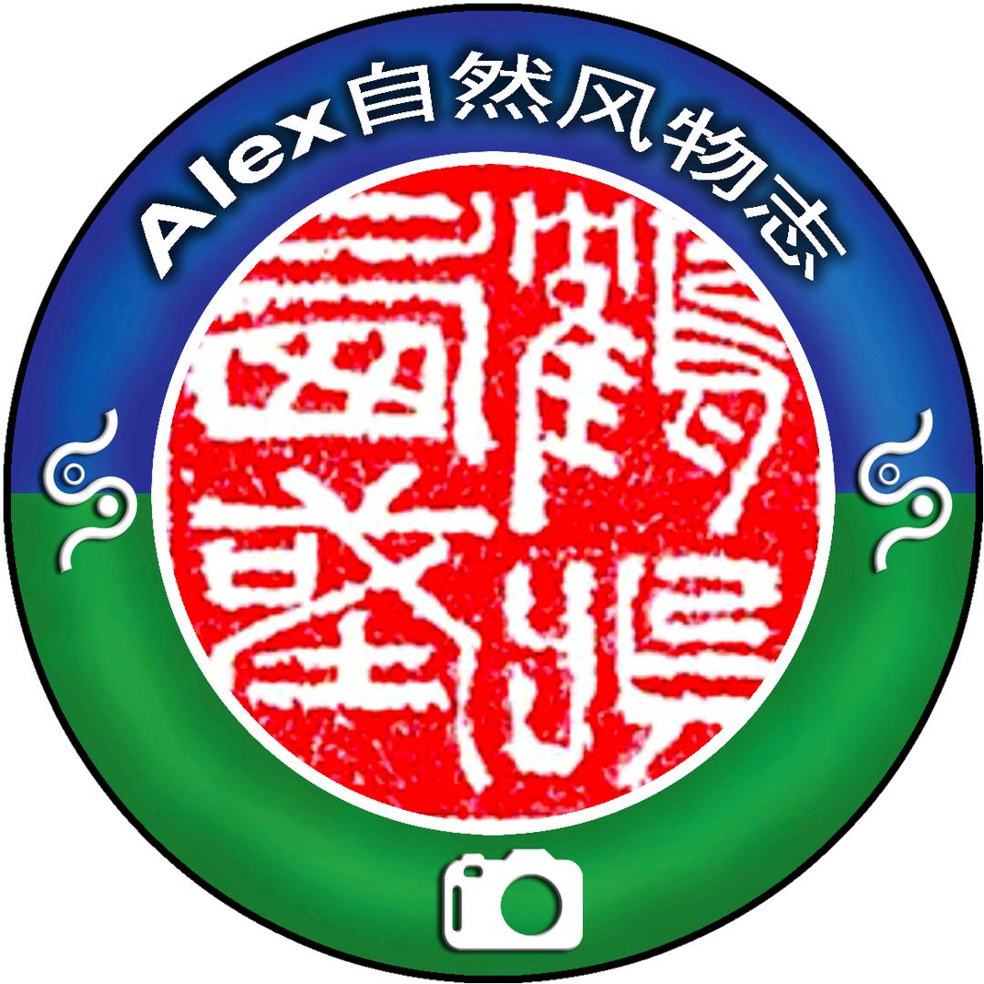 Alex自然风物志🌿