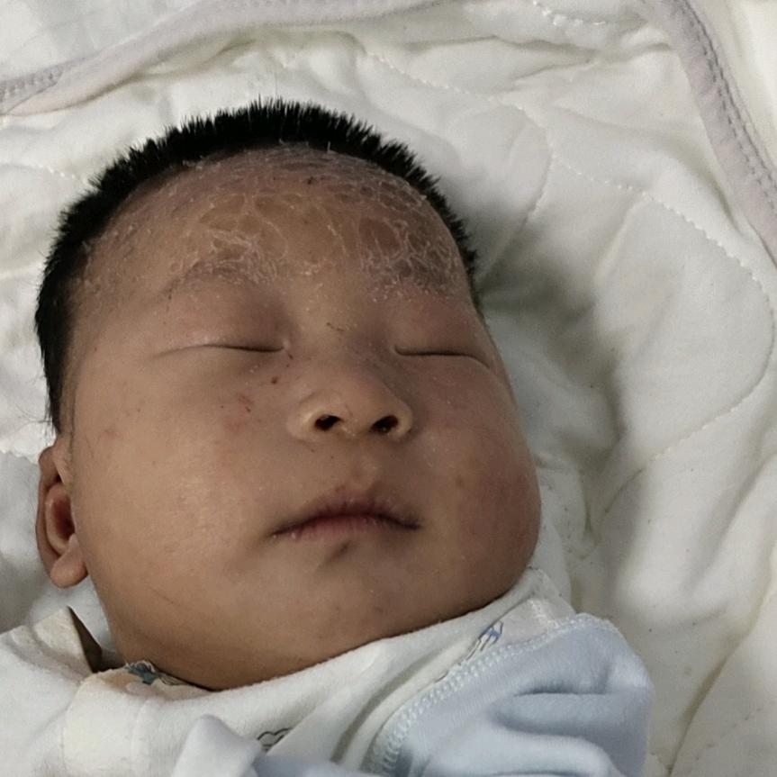 衡宝妈妈