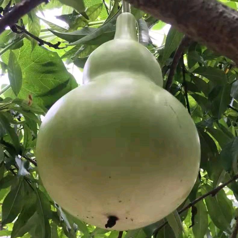 思念天边