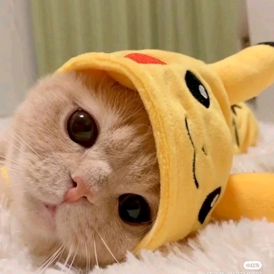 啊呀呦