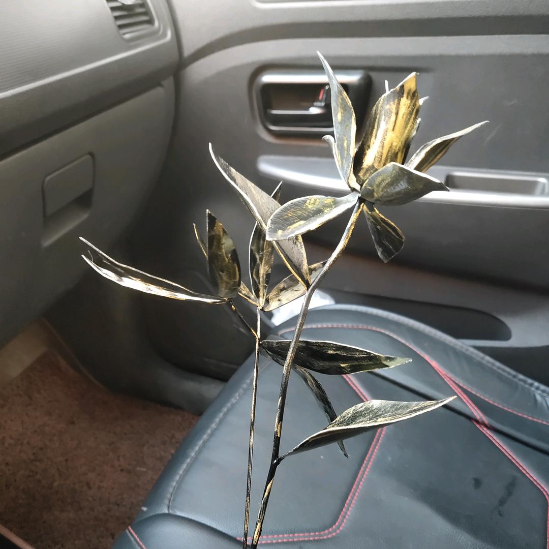 放纵