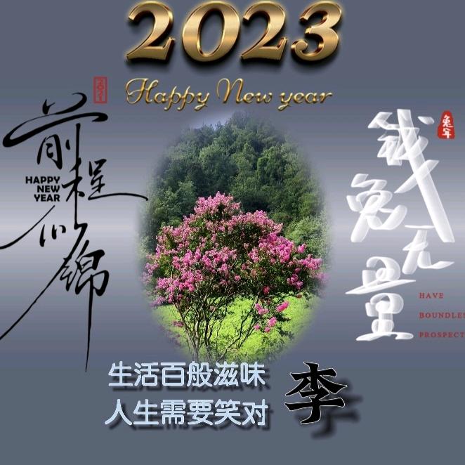 正大光明