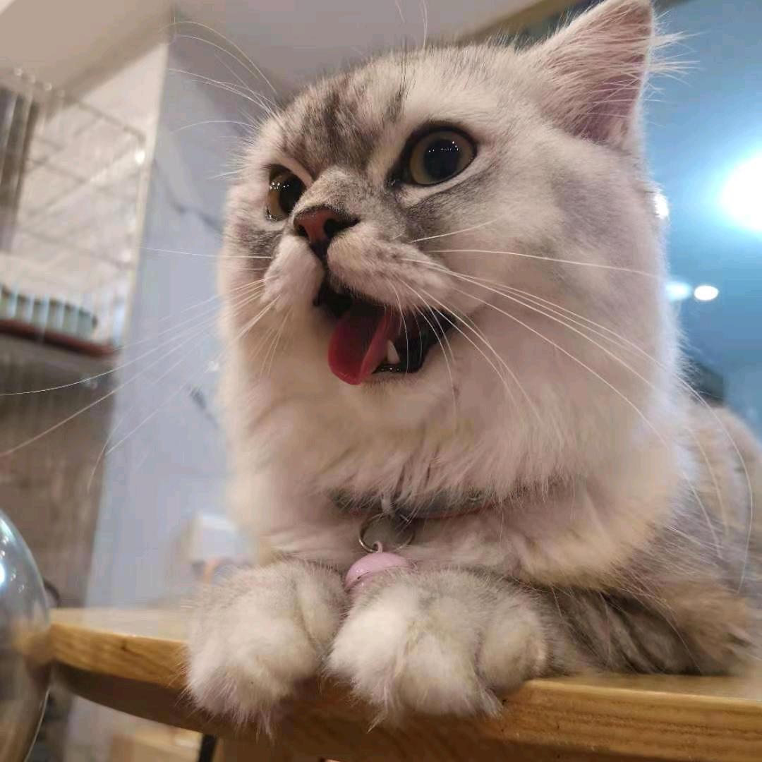 小庄☜