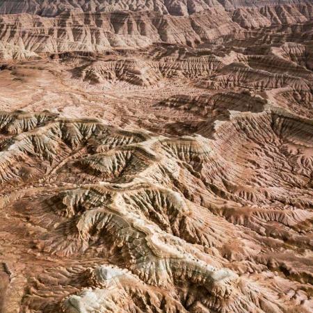 芗萫薯乡香专卖店