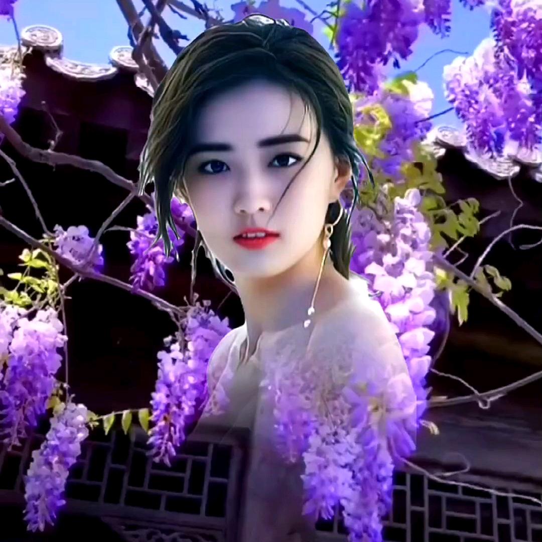 七妹