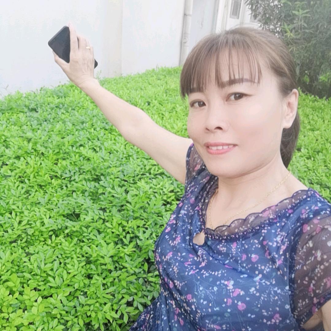 海棠花