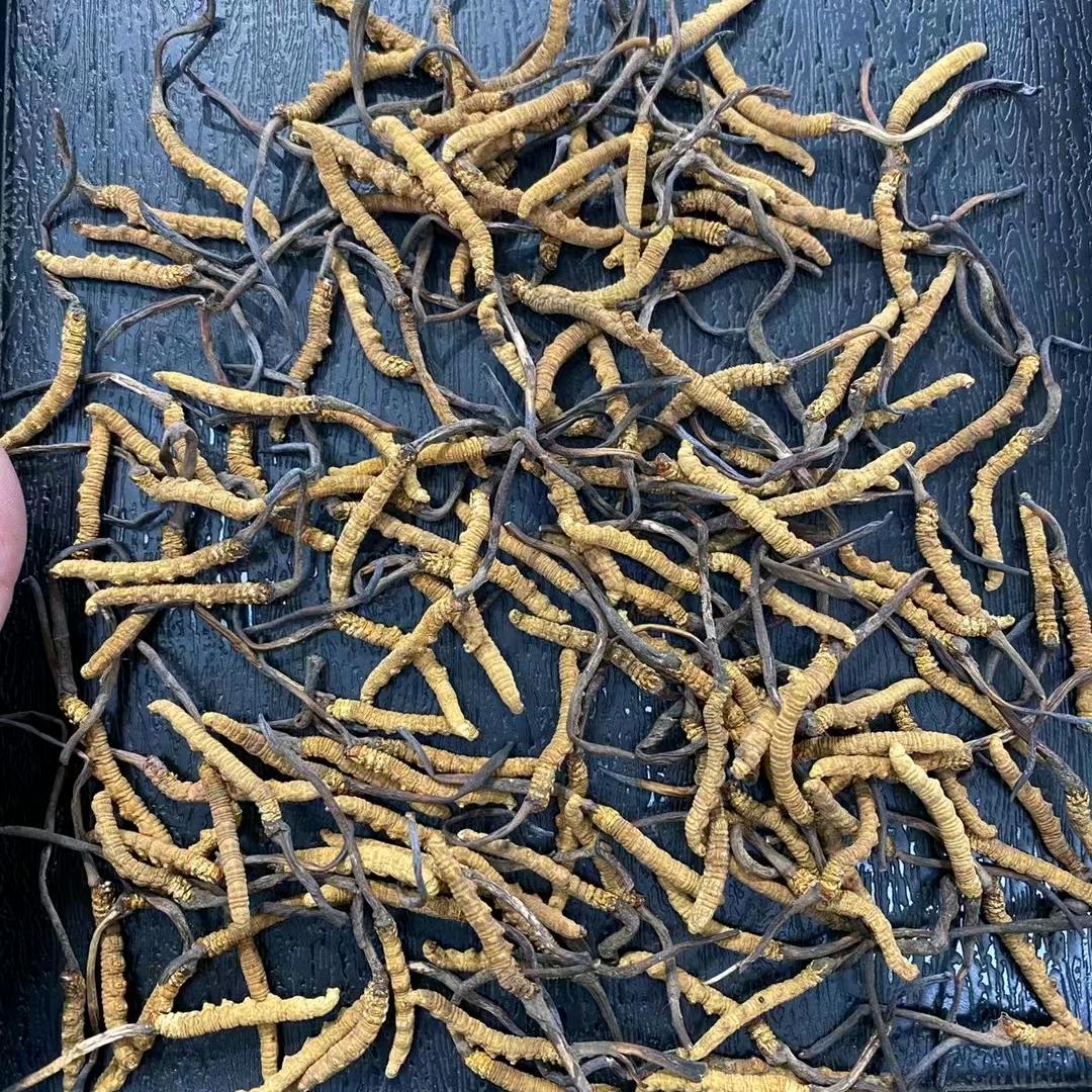 小茳