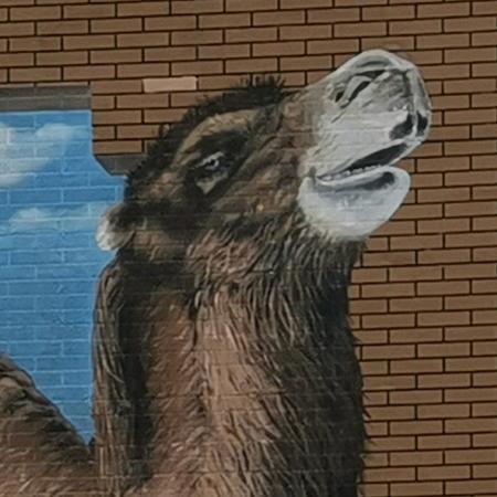 初心（  旅拍）