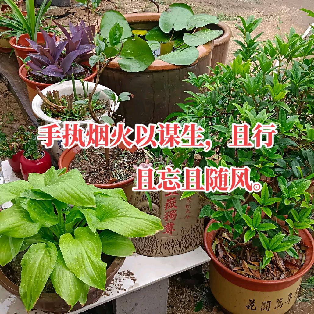 董记粮仓