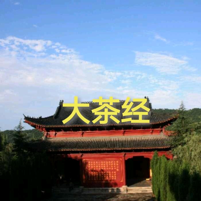 大茶经