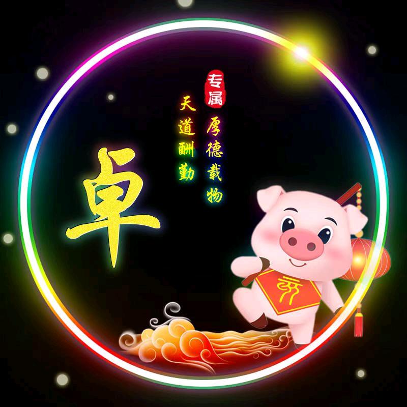 老纳精空头像
