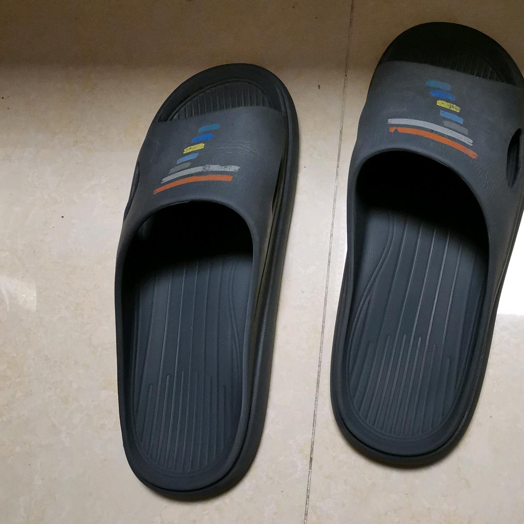 荡失路
