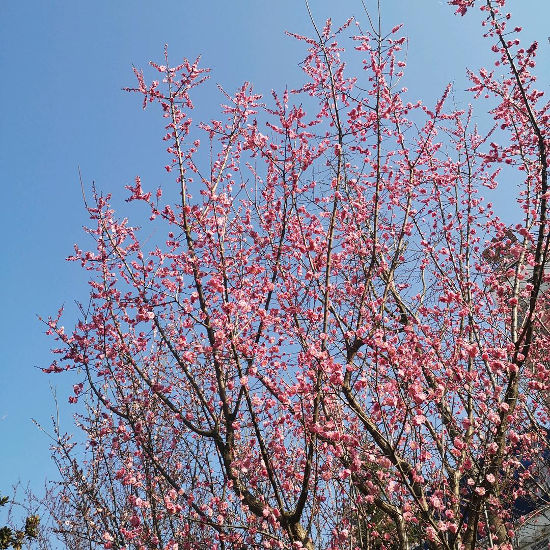 希希奶奶