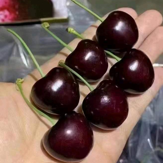 琳琳