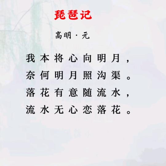 阳光哥