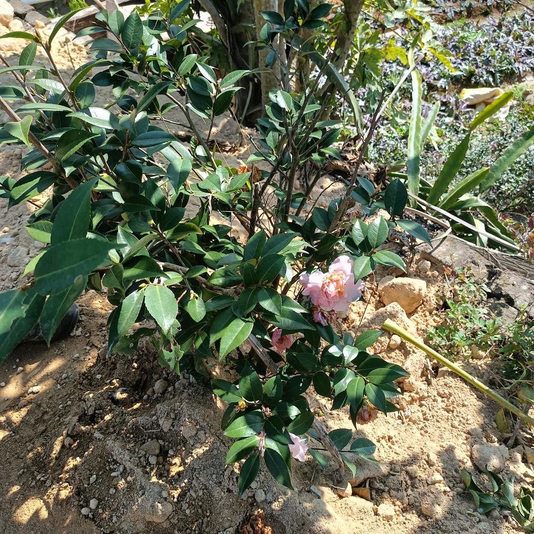 原来是你