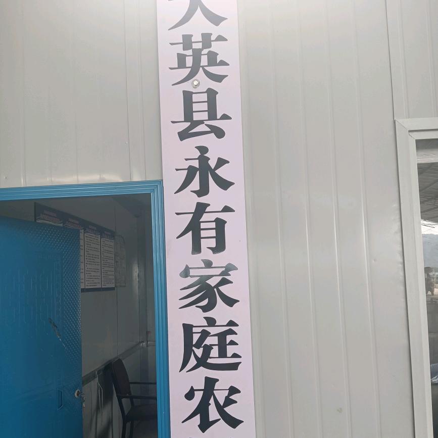 大英县永有家庭农场