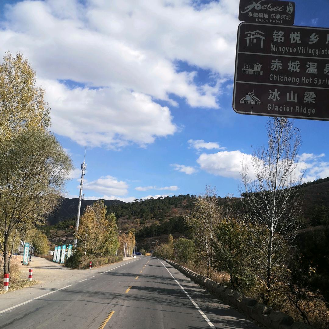 乐悠刘