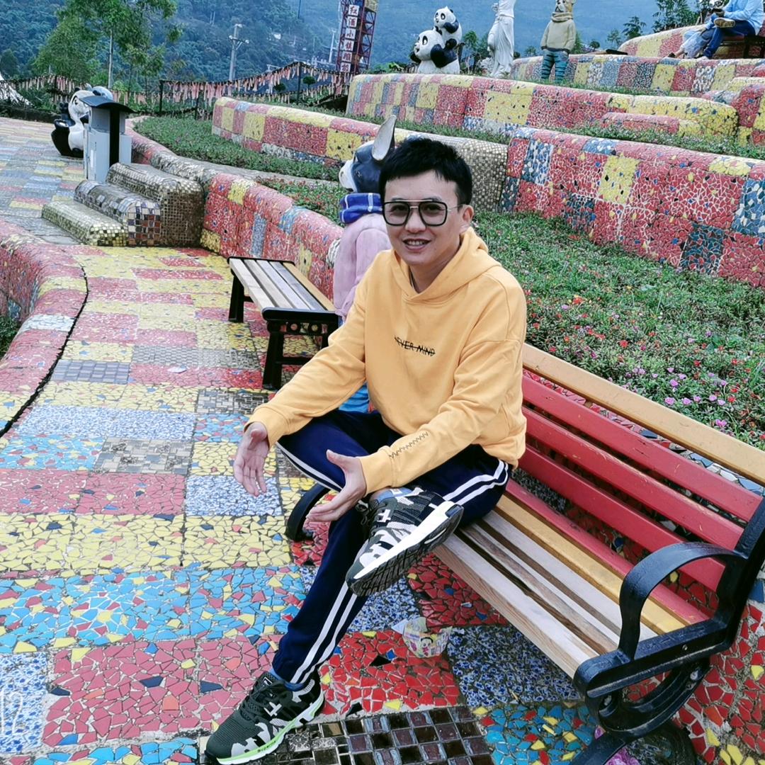 奇妙的飞翔中头像