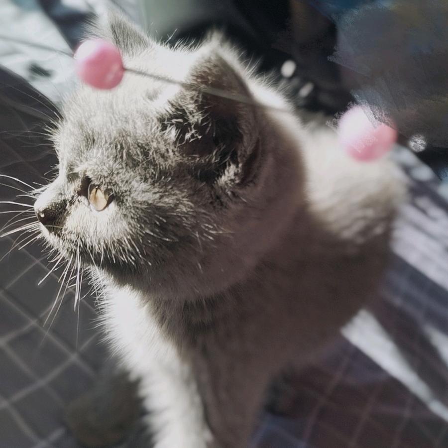 婉莹.