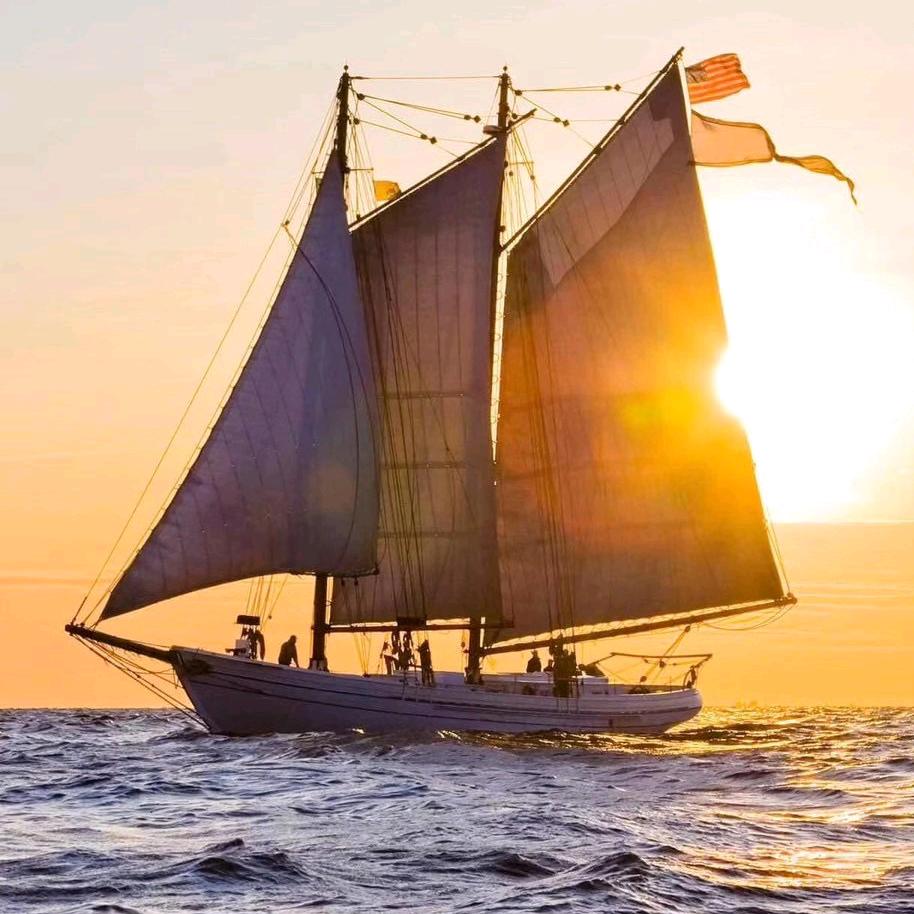 河格气液网厂（低价）