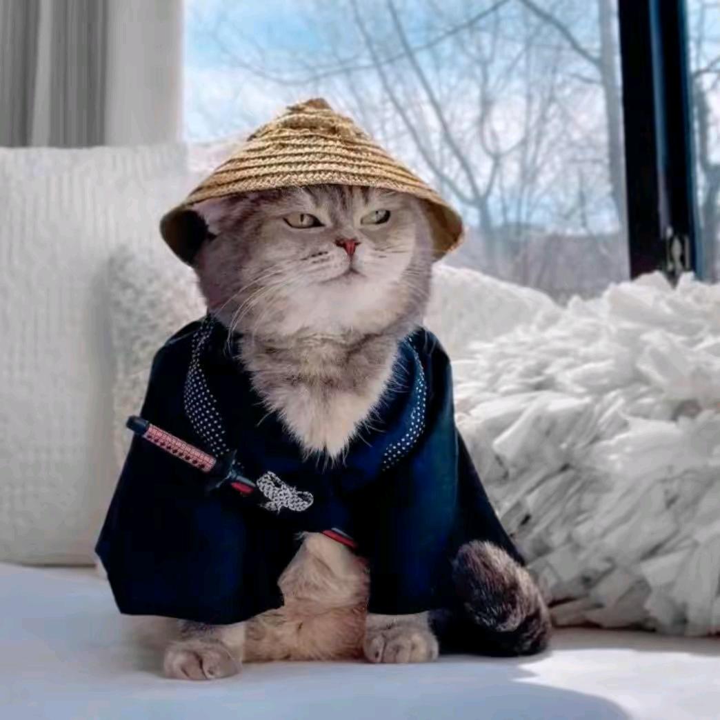 可以没有你～不能没有酒🍺