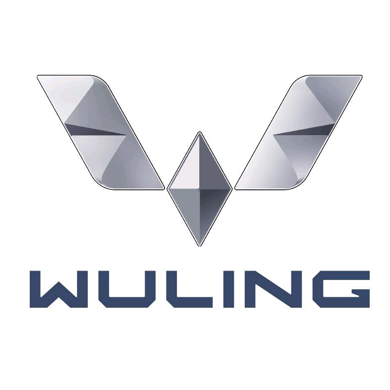 东莞顺利五菱汽车