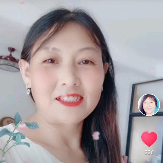 玫瑰   