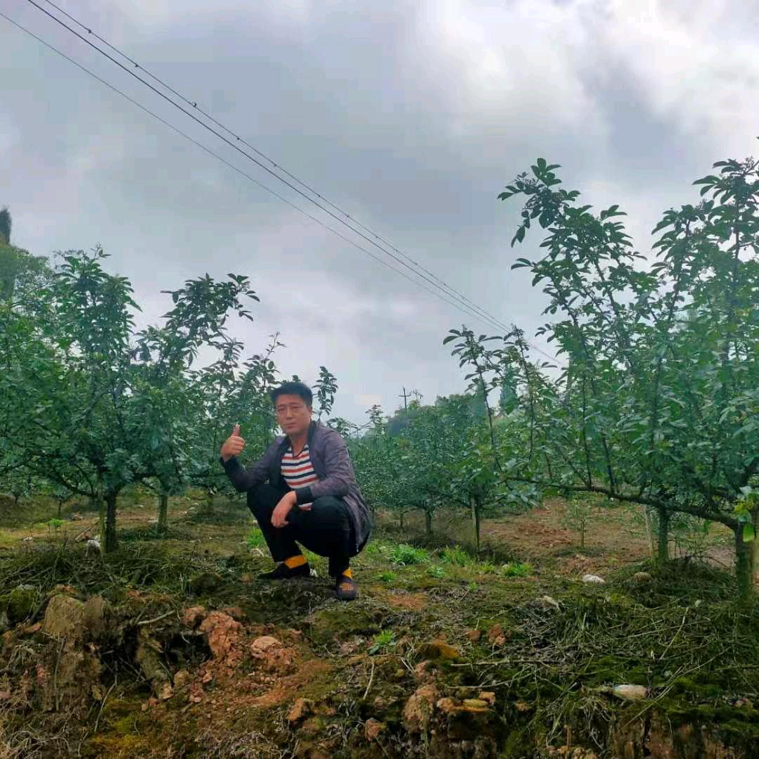庄稼汉