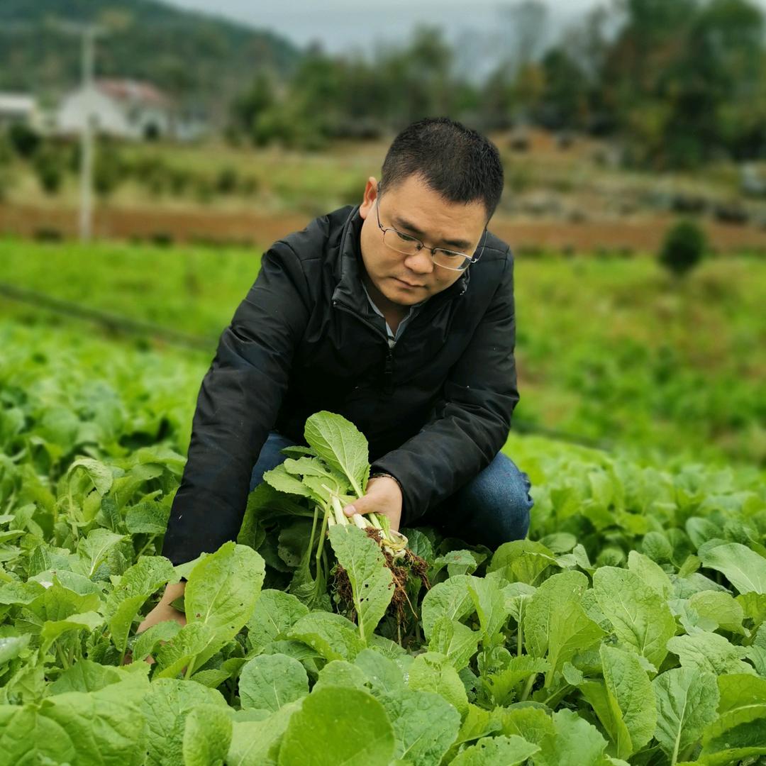 爱农村的志力（隆门）