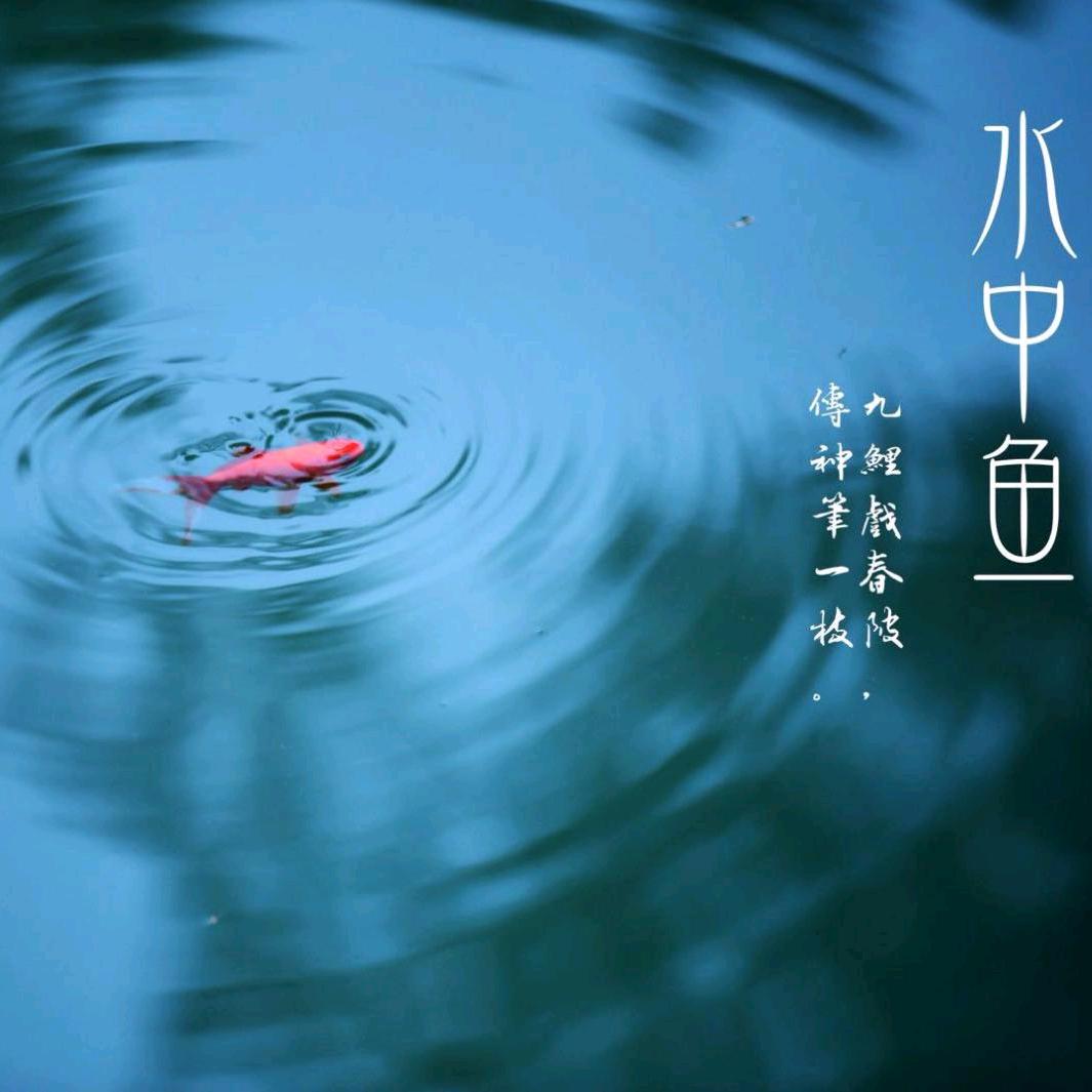 乐趣老师文史课堂