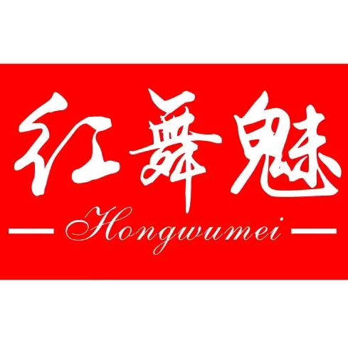 红舞魅拉丁舞服