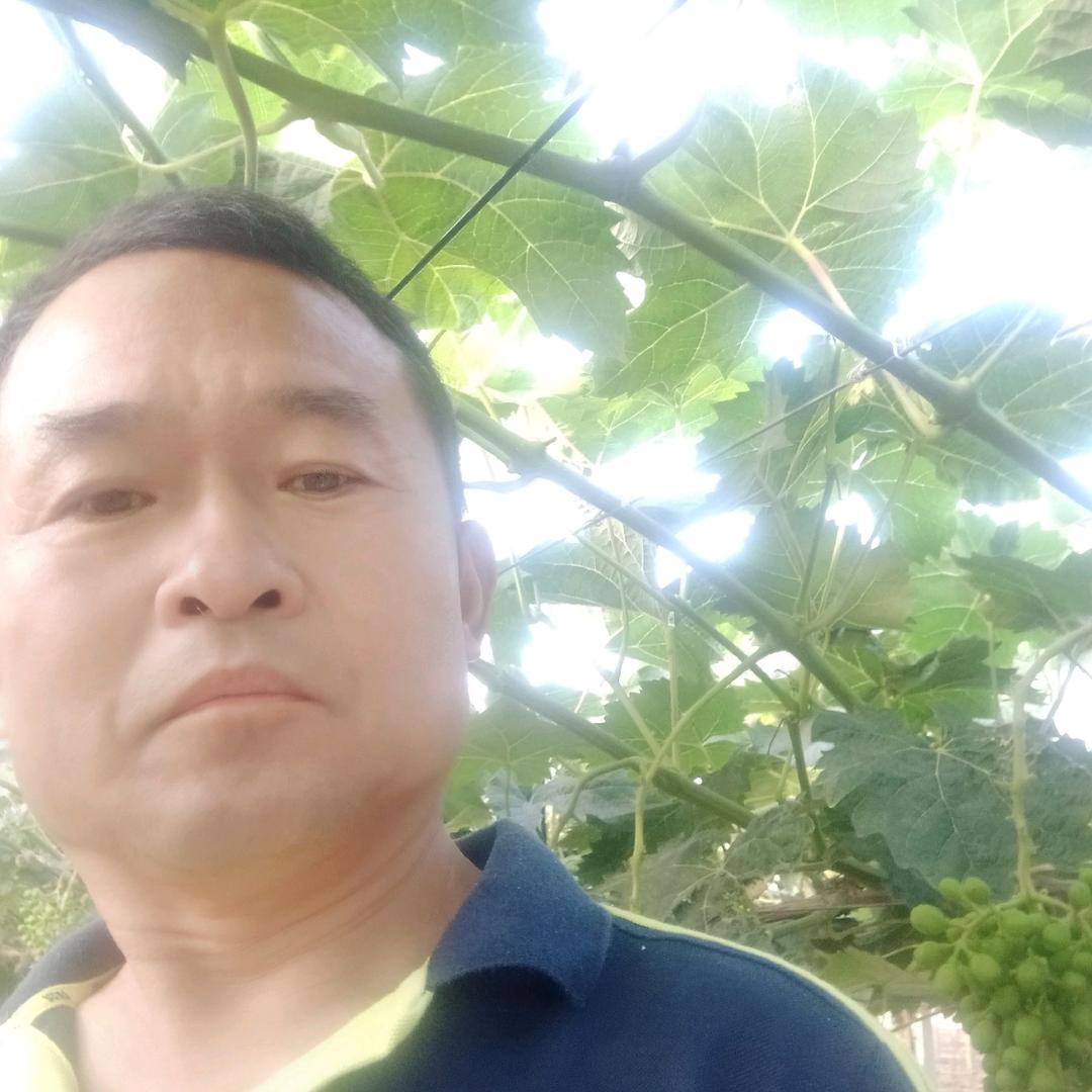 张为国