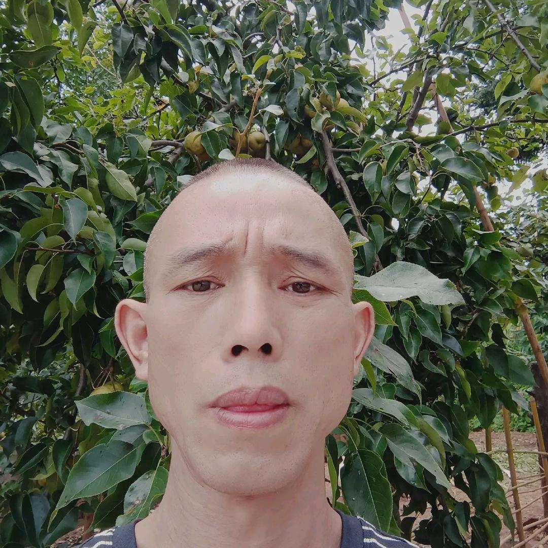 悔恨的泪