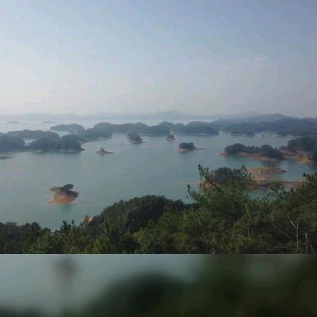 森乐福