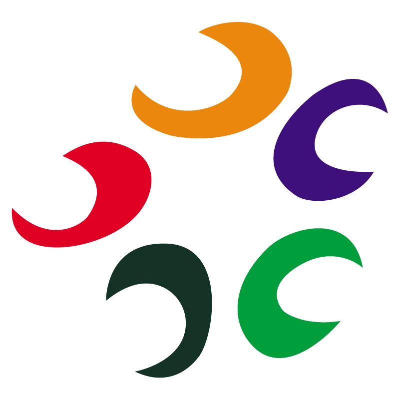 广汉顺宏涂料有限公司