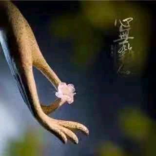 🌸相逢阳光🌸