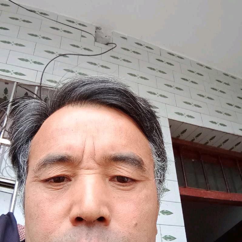 焦