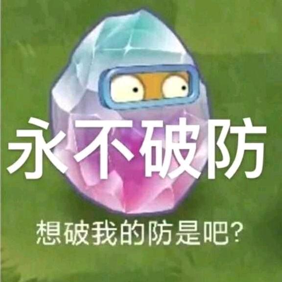 秃老师该吃猫粮了