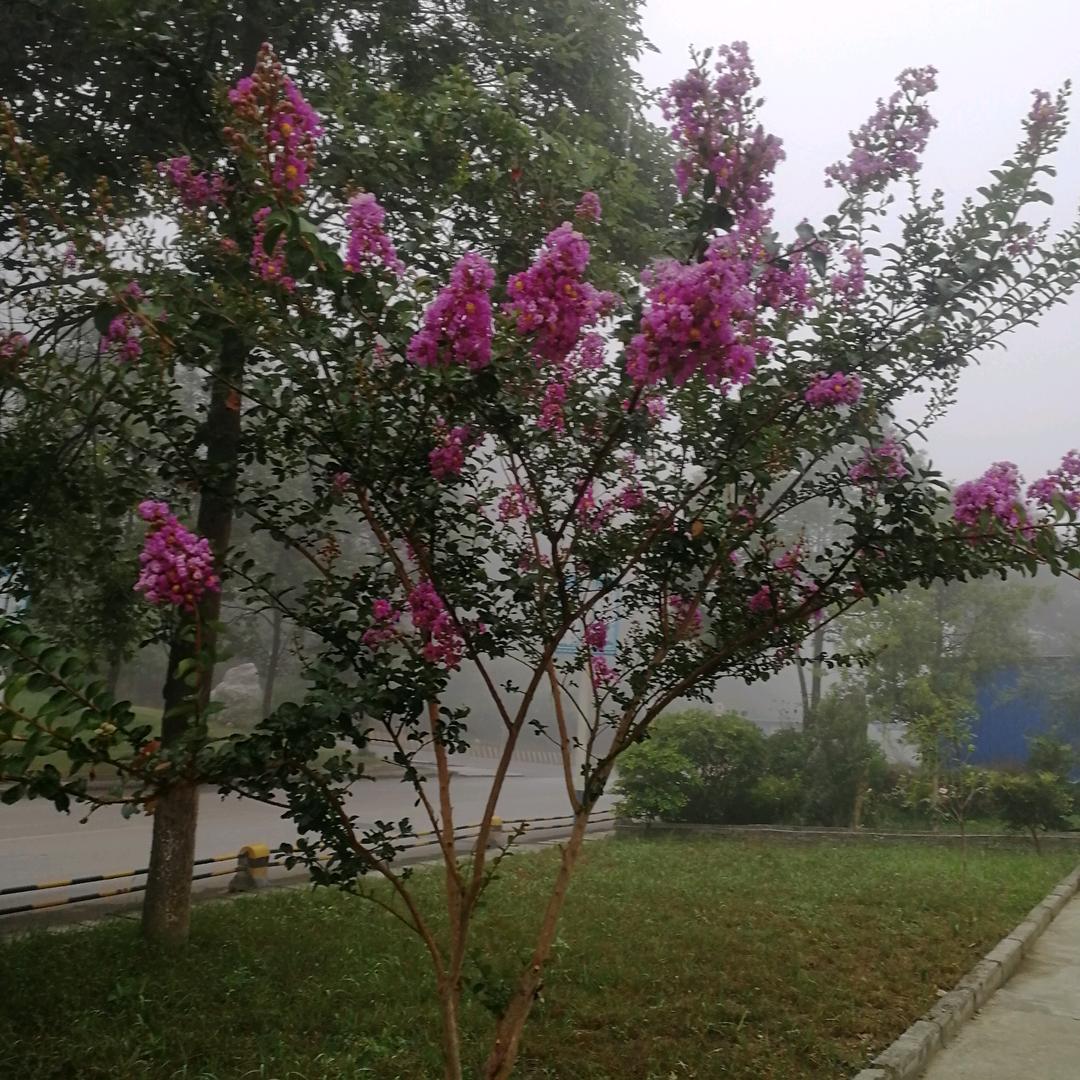 吉祥满满，福气堆积