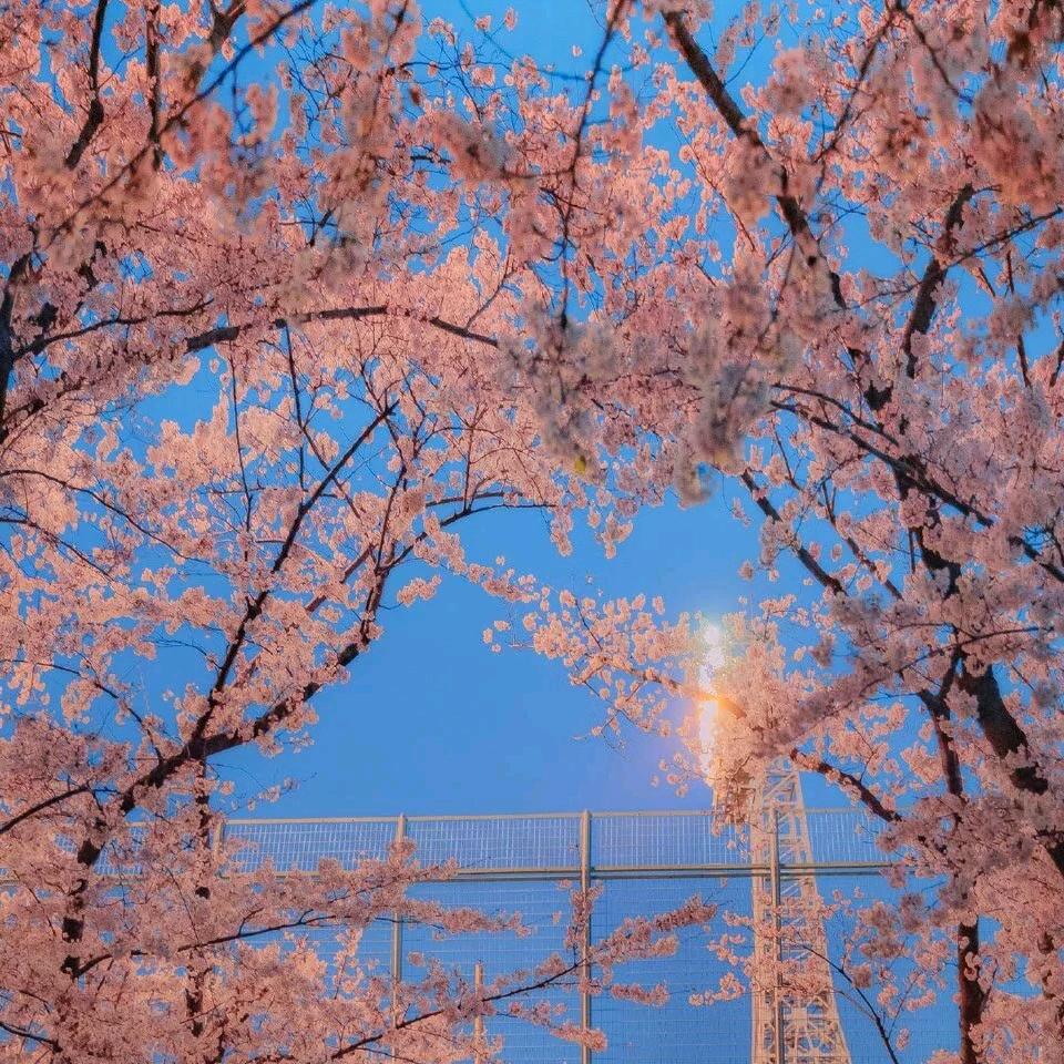 🌈满眼星辰。⛵️