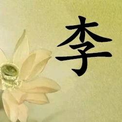 本人拉公猪专业