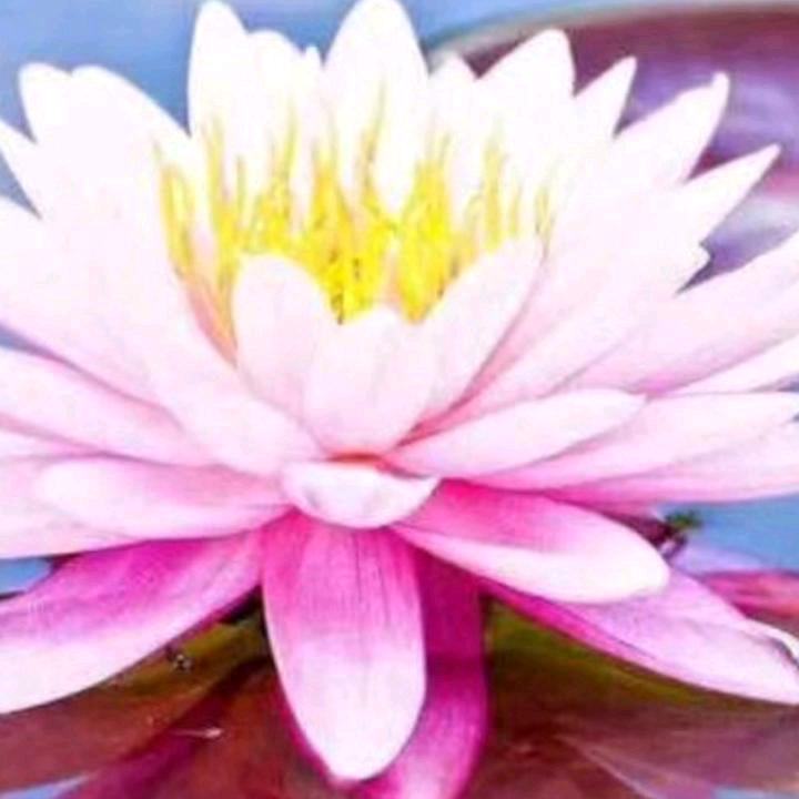 单亲妈妈感恩遇见你们🙏🏽