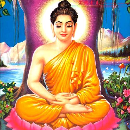 🌞释一杰🙏中原居士🙏💞🌙✨