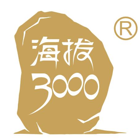 海拔3000牦牛产业企业店