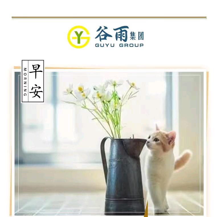 涂涂谈资质